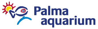  Palma Aquarium Gutscheincodes